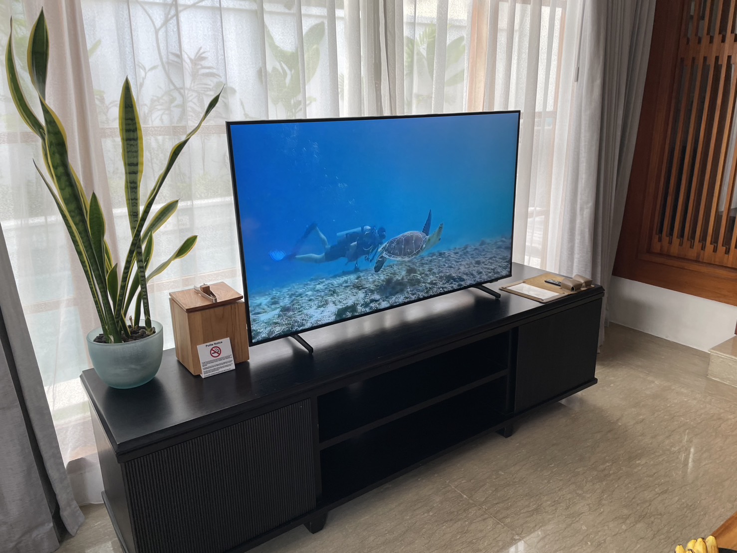 テレビ