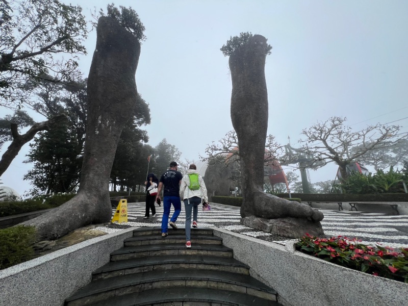 �̿����ݥå��������Ǥ���