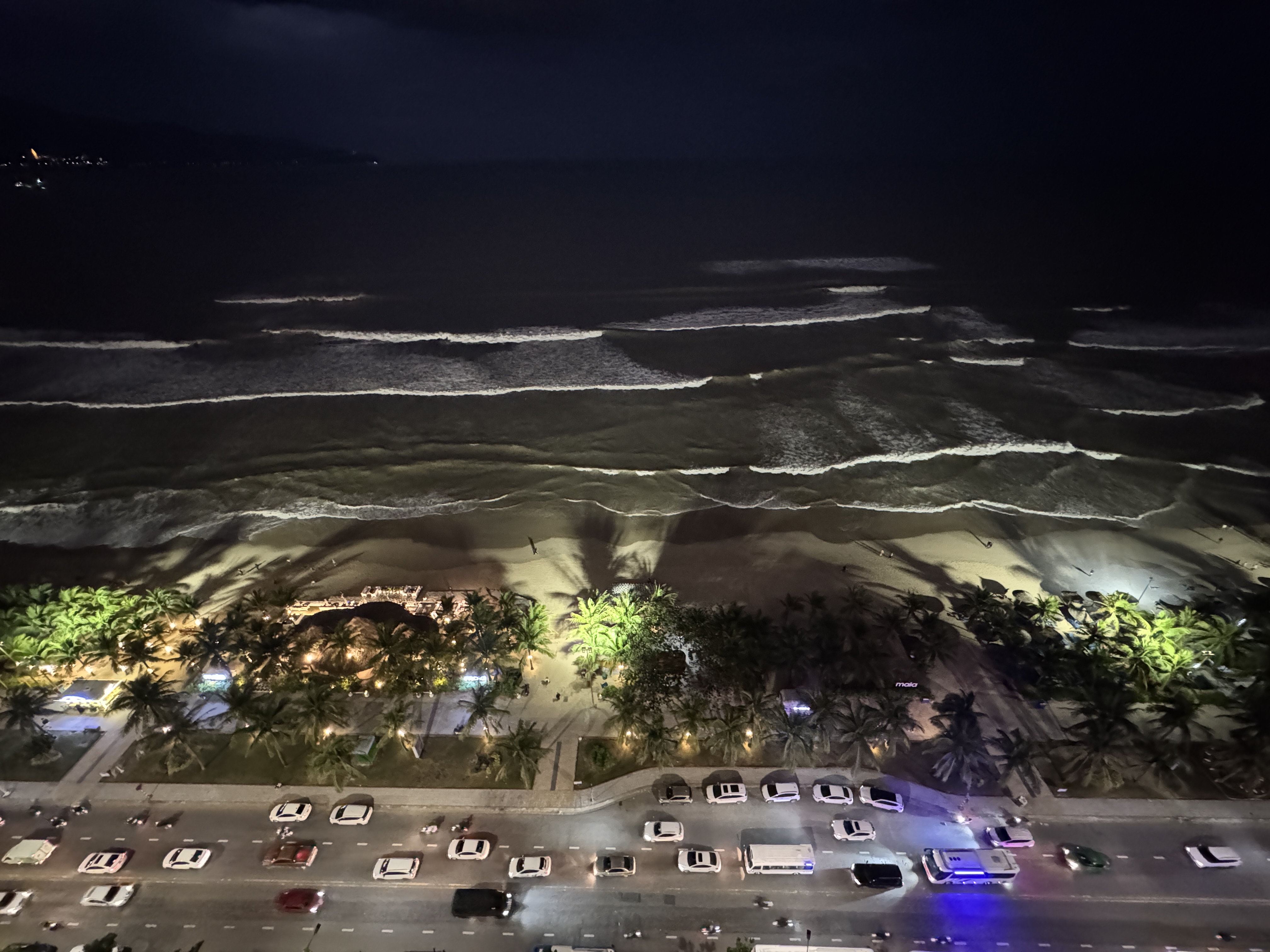 �ץ�ߥ��������� ��������� �ե���Ȥ���������ηʴ�