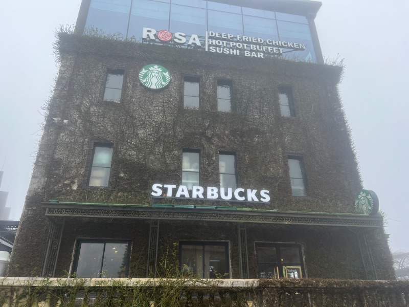 �������Хå����ϻ�����⤢��ޤ���