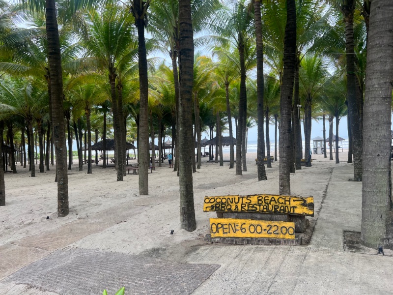 �ץ饤�١��ȥӡ���