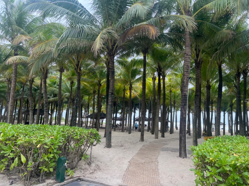 ��Beachside Cafe�ʥӡ��������ɡ�