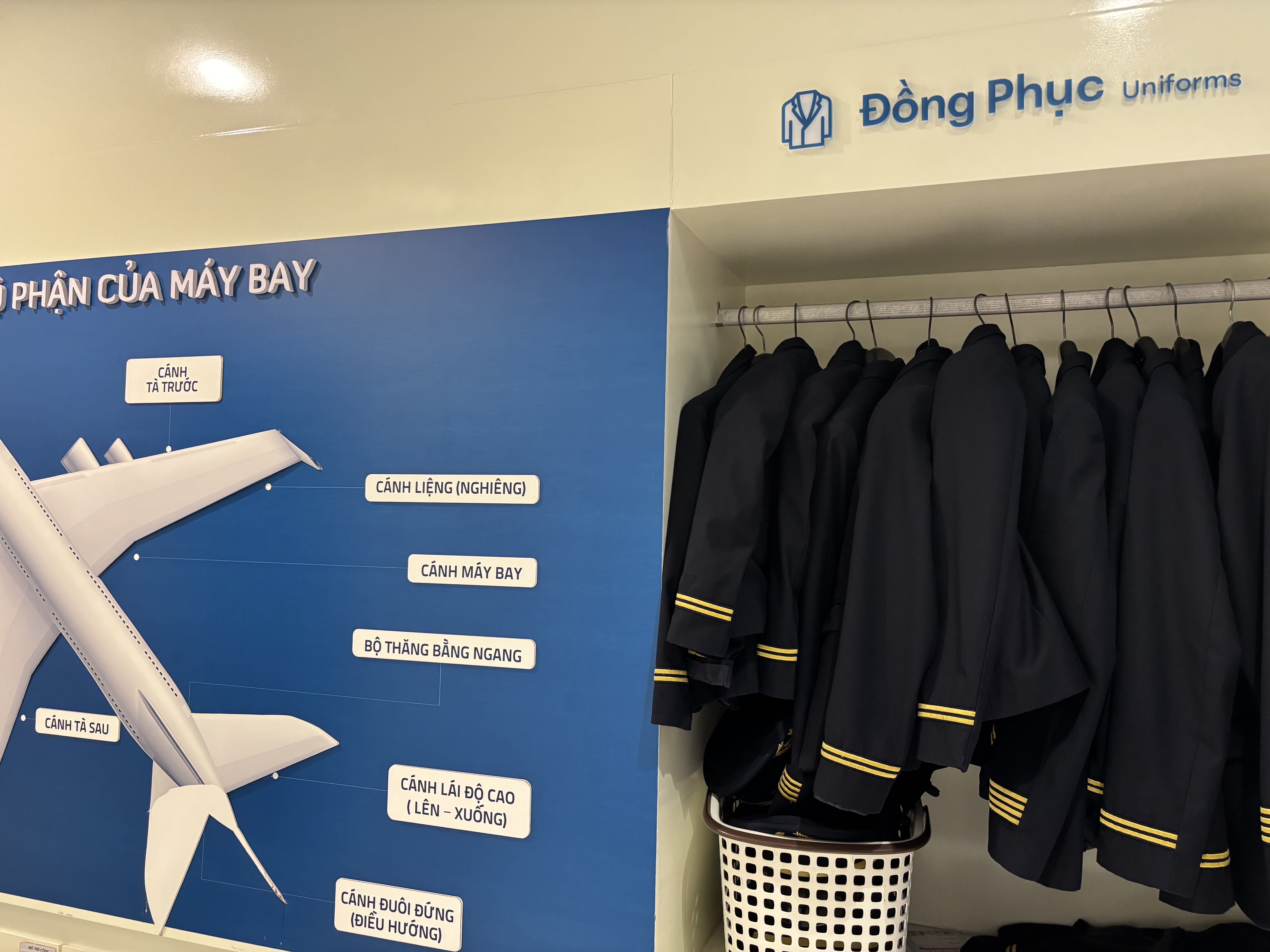 �ѥ����åȤ�������˭�٤ʥ�����Ÿ��