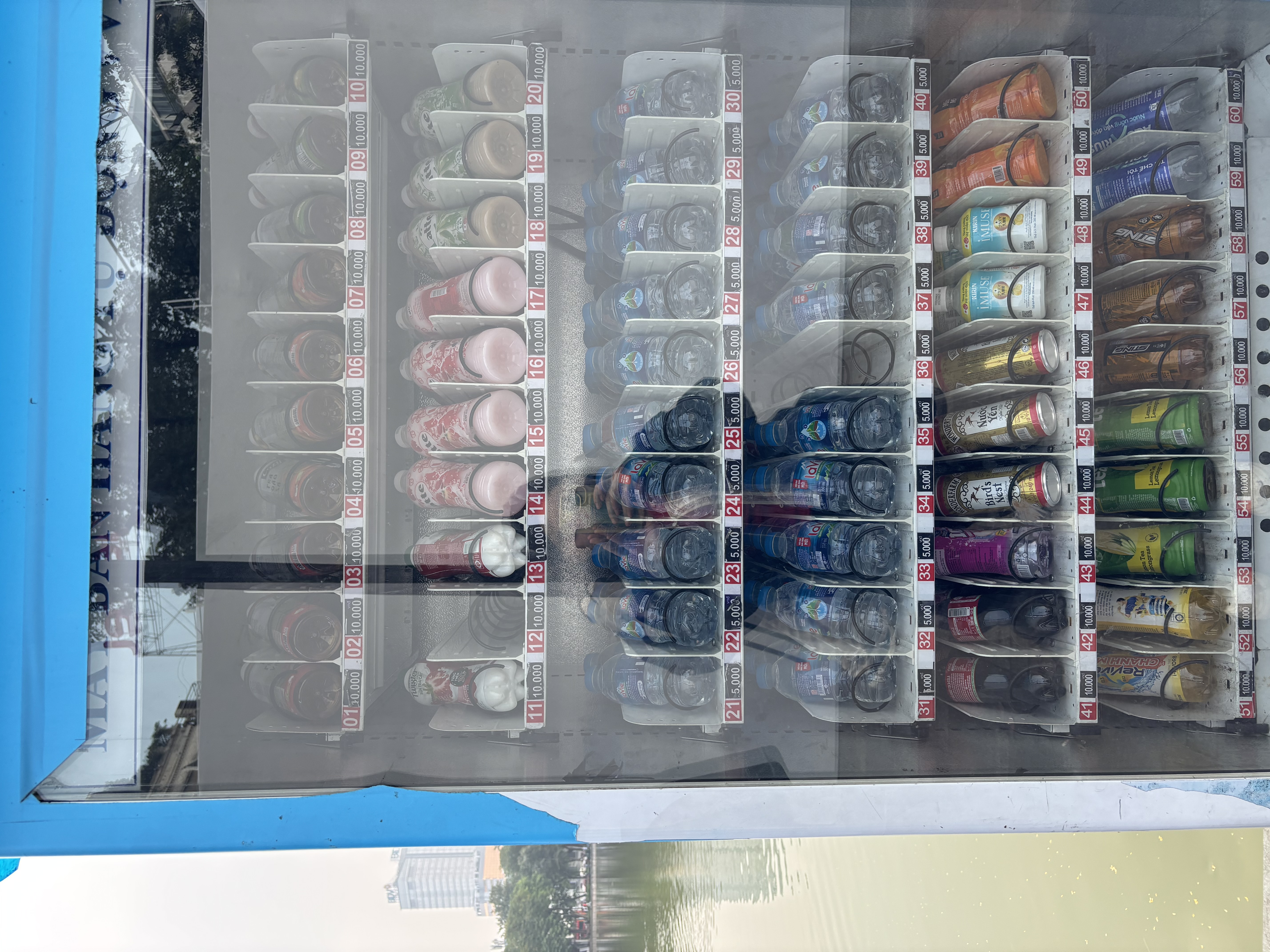 ���ε��ο夬30�ߤ��餤�Ǥ�����