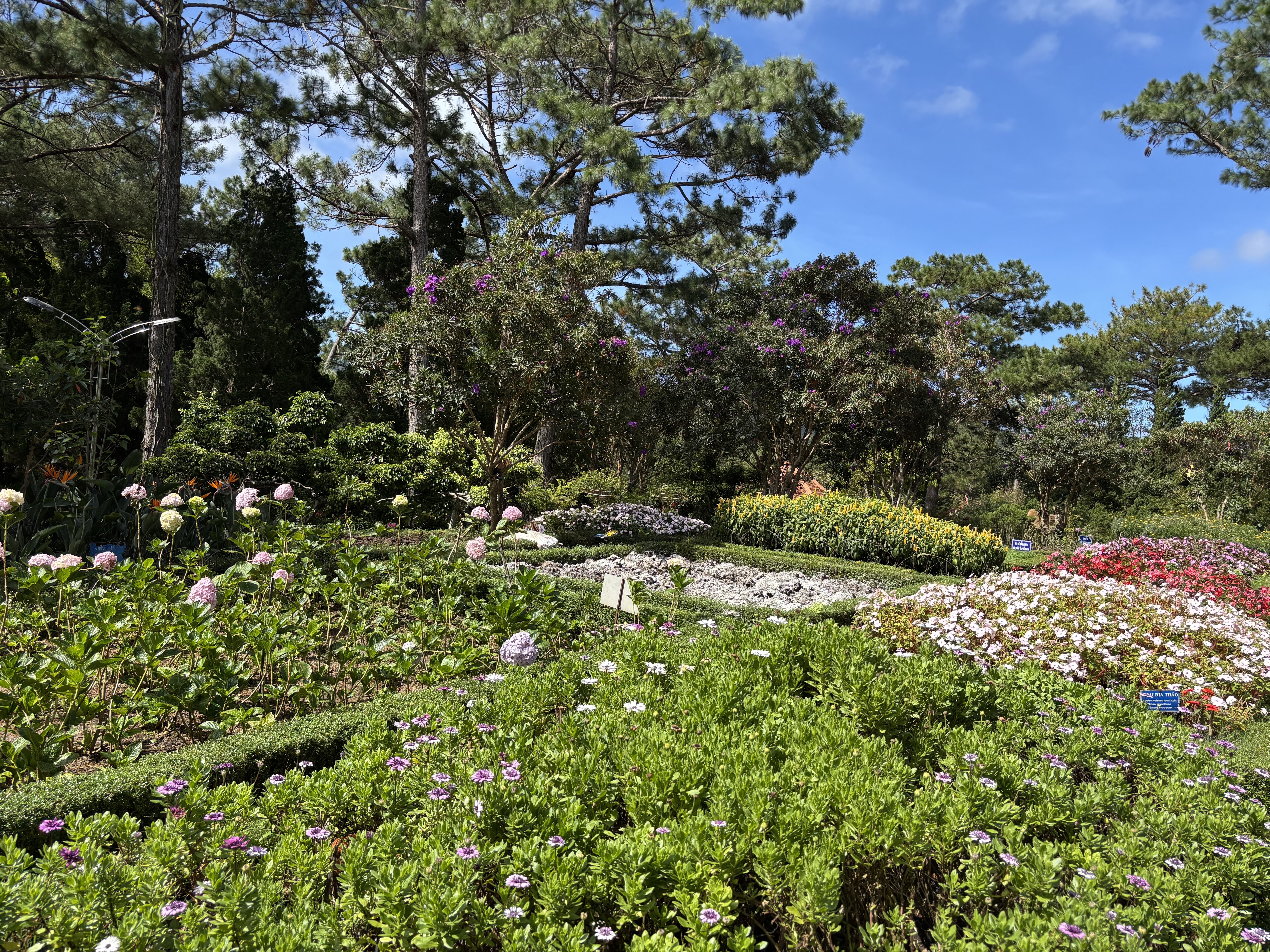 �����������줿����