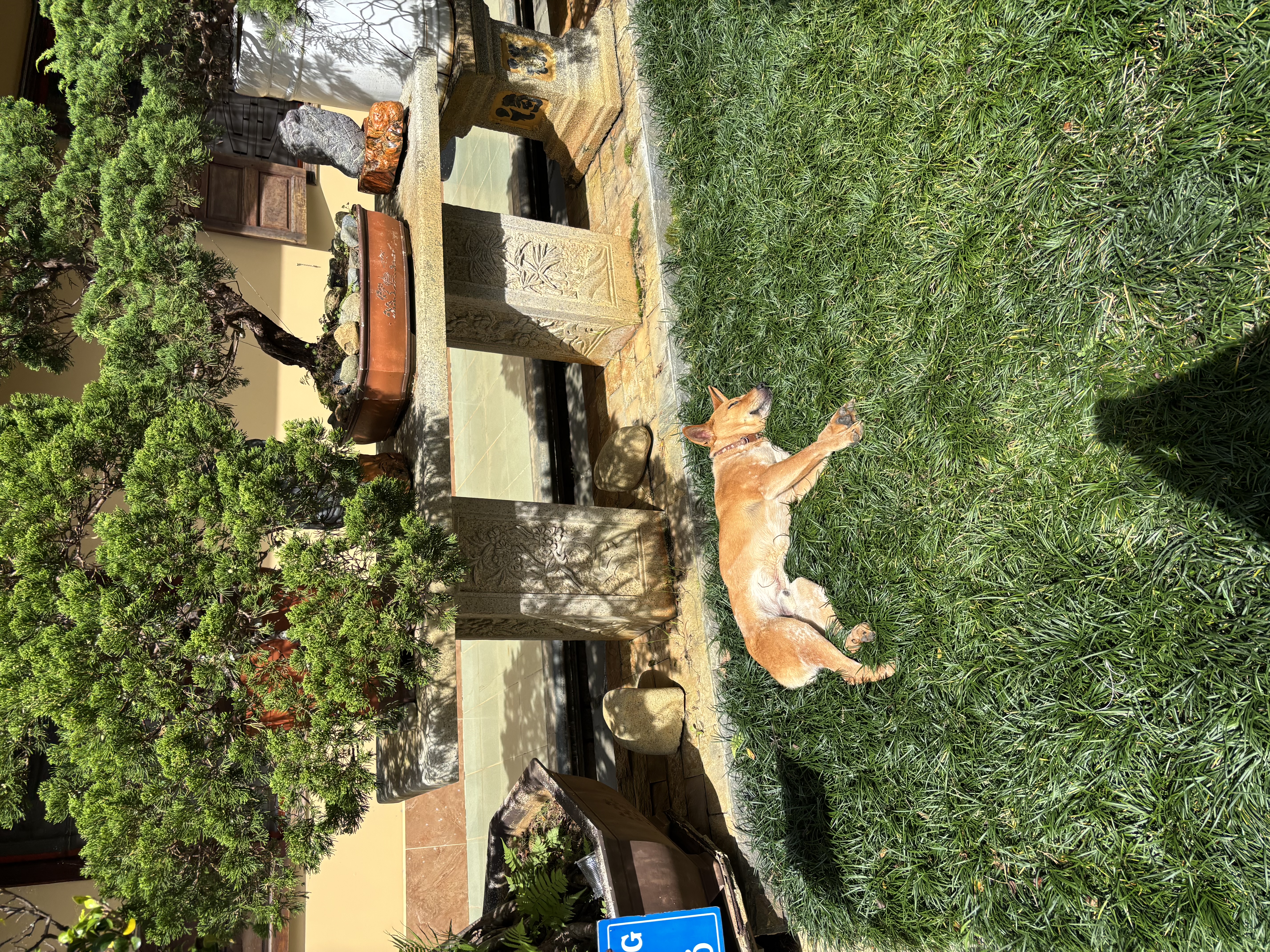 �ߺϤȤ��뿲��Τ��