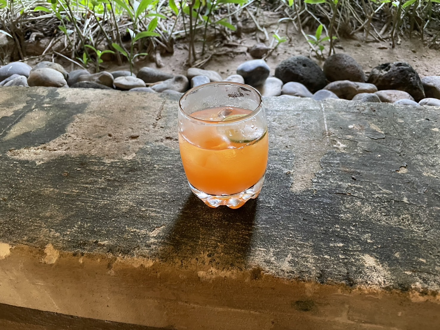 �E�F���J���h�����N