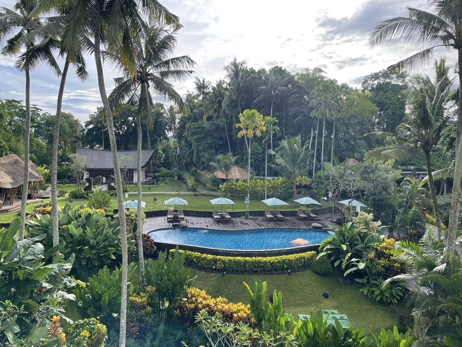 �o���R�j�[����̒���(��)