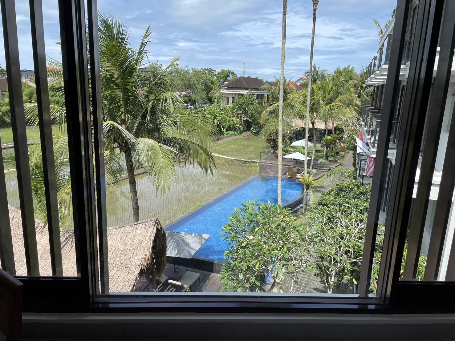 ������̒���