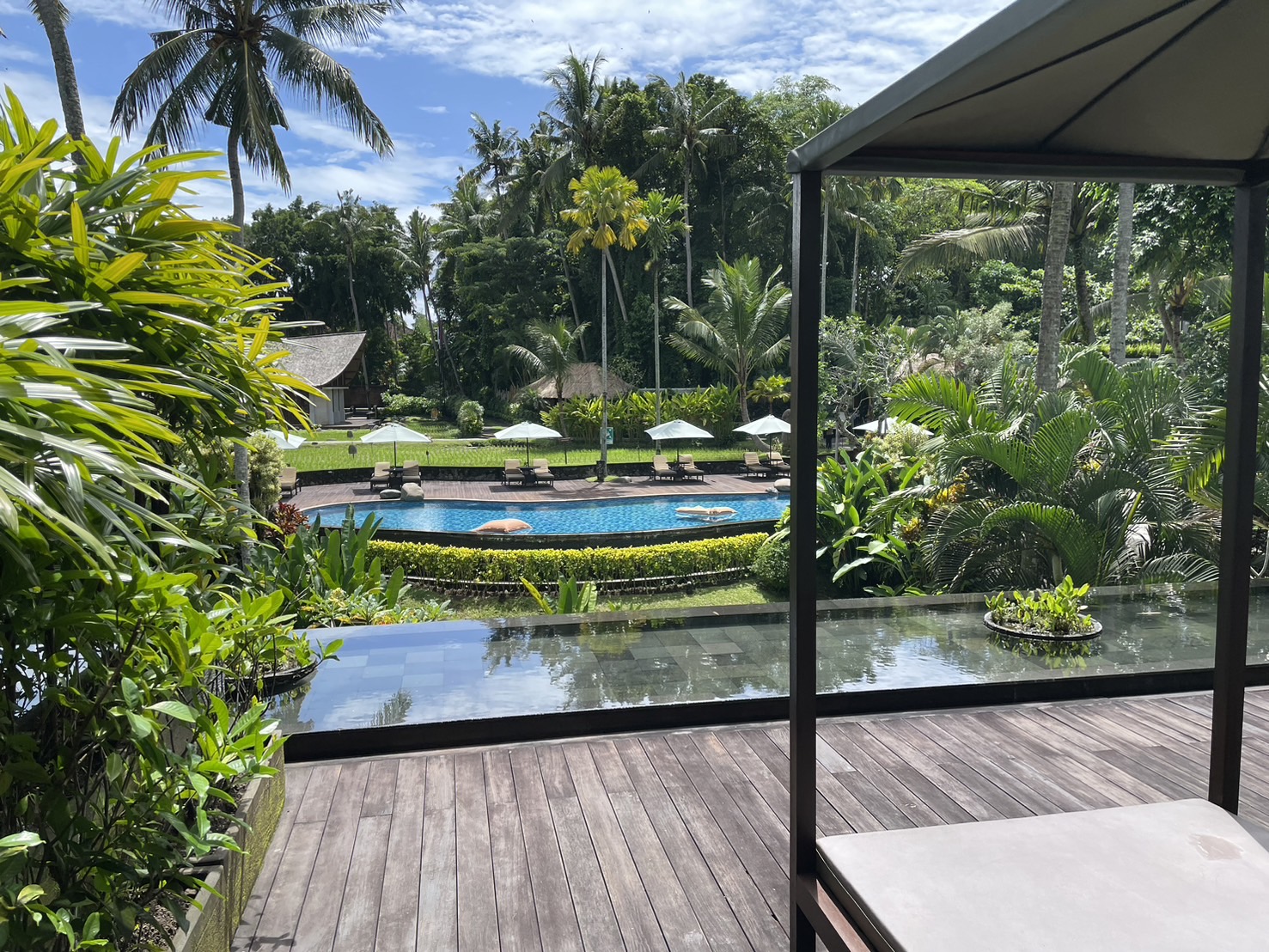 �e���X����̒���