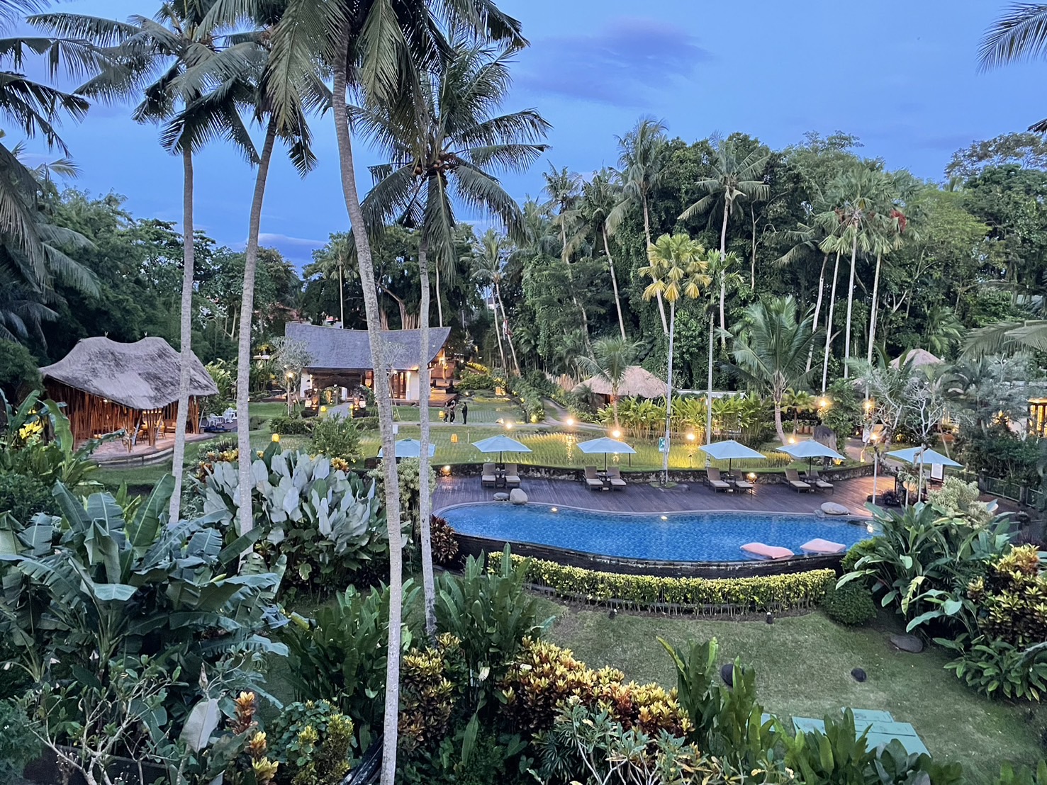 �o���R�j�[����̒���(�[)