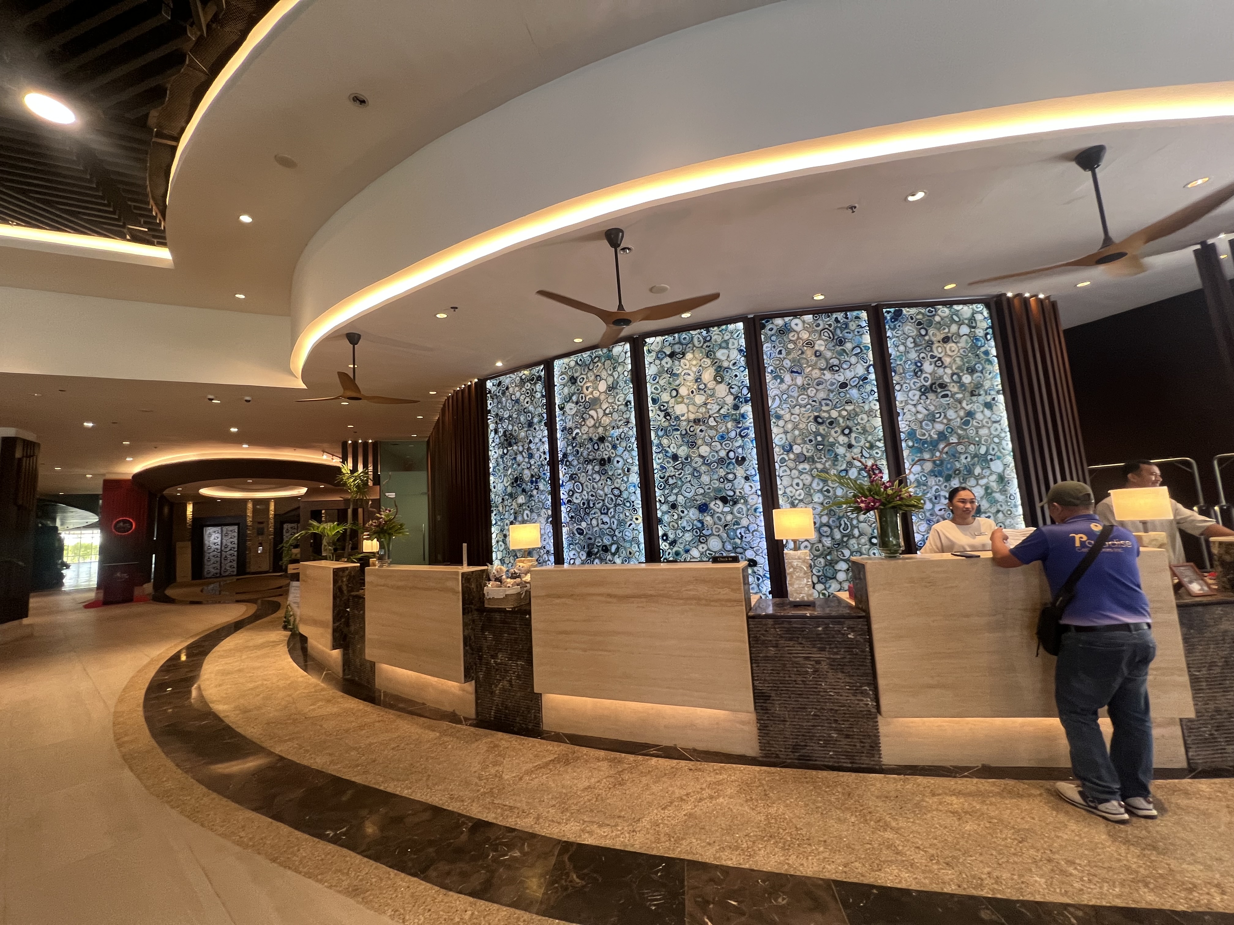 �J�����̂��郍�r�[