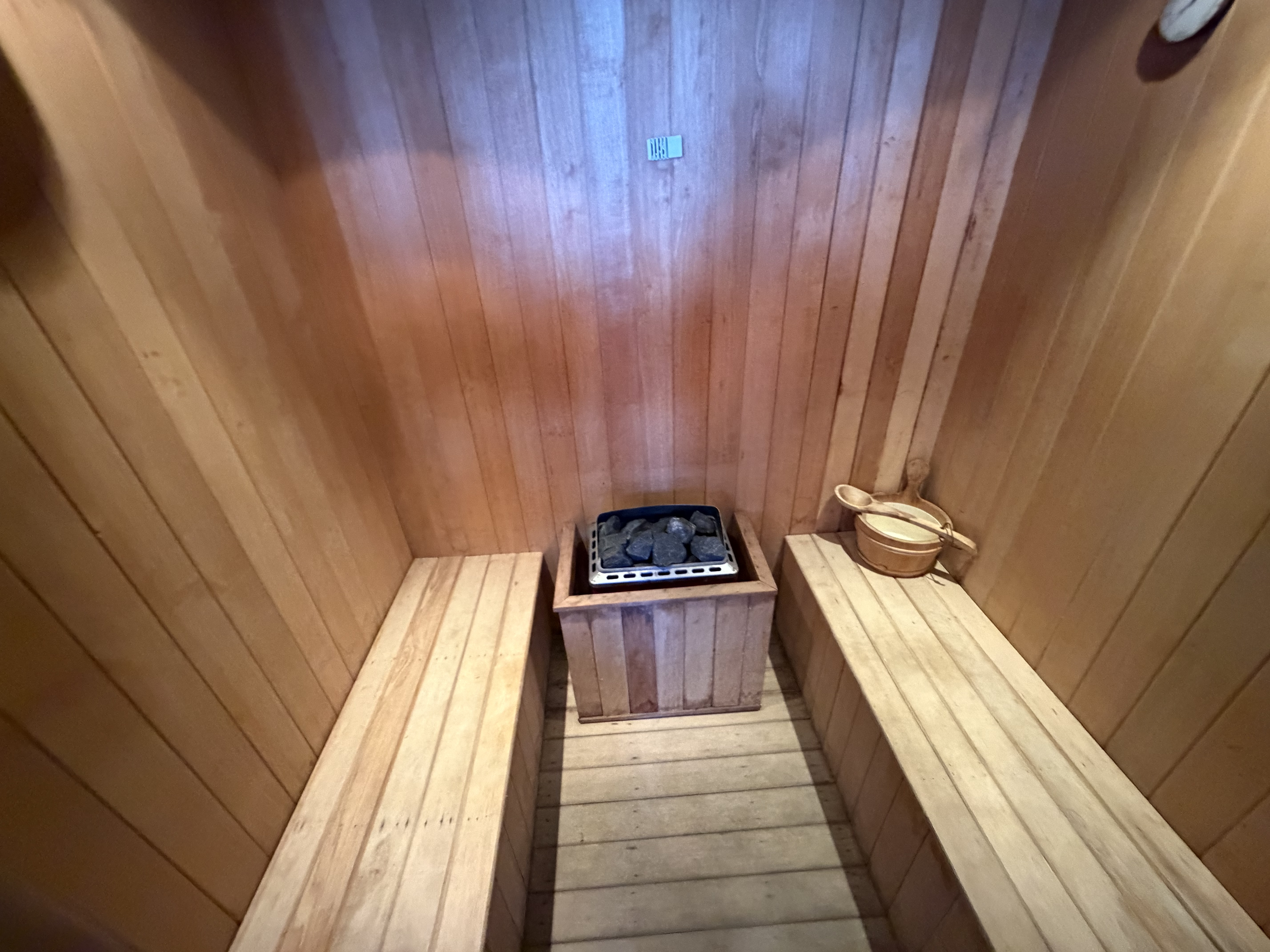 �V�����[���[���ׂ̗ɂ̓T�E�i���������܂��B