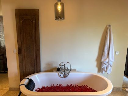 �o�X���[���ɂ̓n�l���[���g�p�Ńt�����[�o�X�ɂȂ��Ă��܂����B