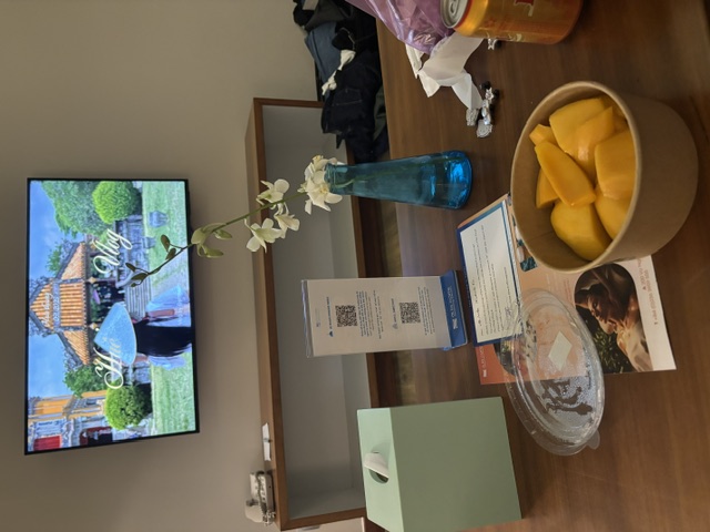 TV��YouTube��NETFLIX��İ��ǽ